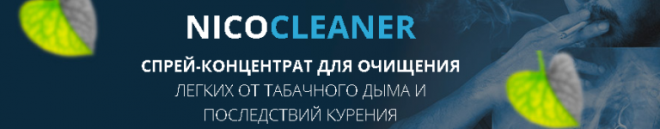 Купить NicoCleaner в Киселёвске