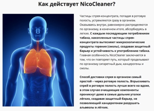 Купить NicoCleaner в Костроме